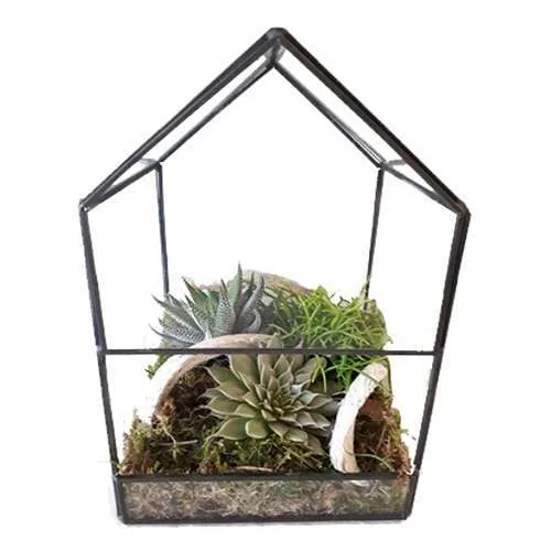Terrarium a forma di casetta con piante grasse